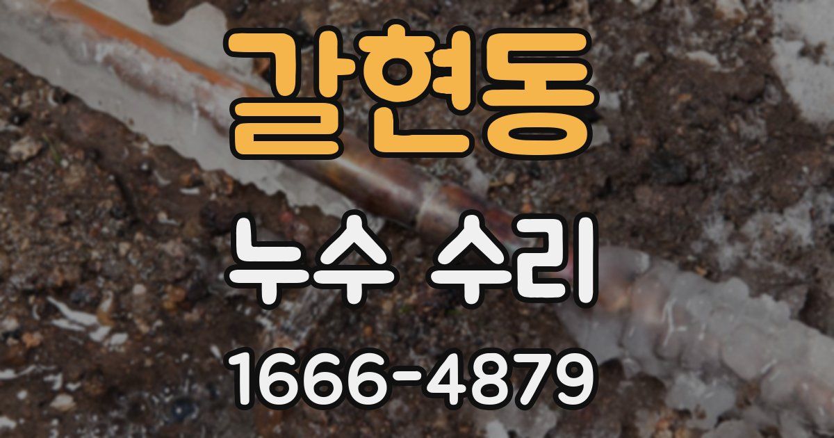 갈현동 누수 수리