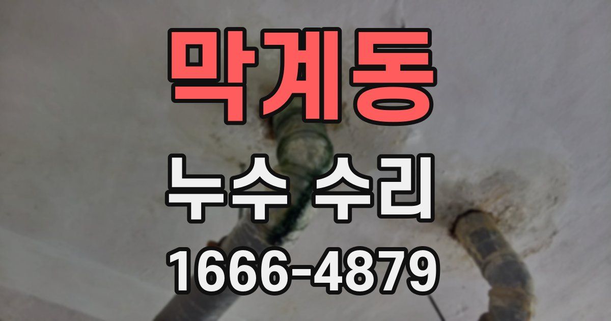 막계동 누수 수리