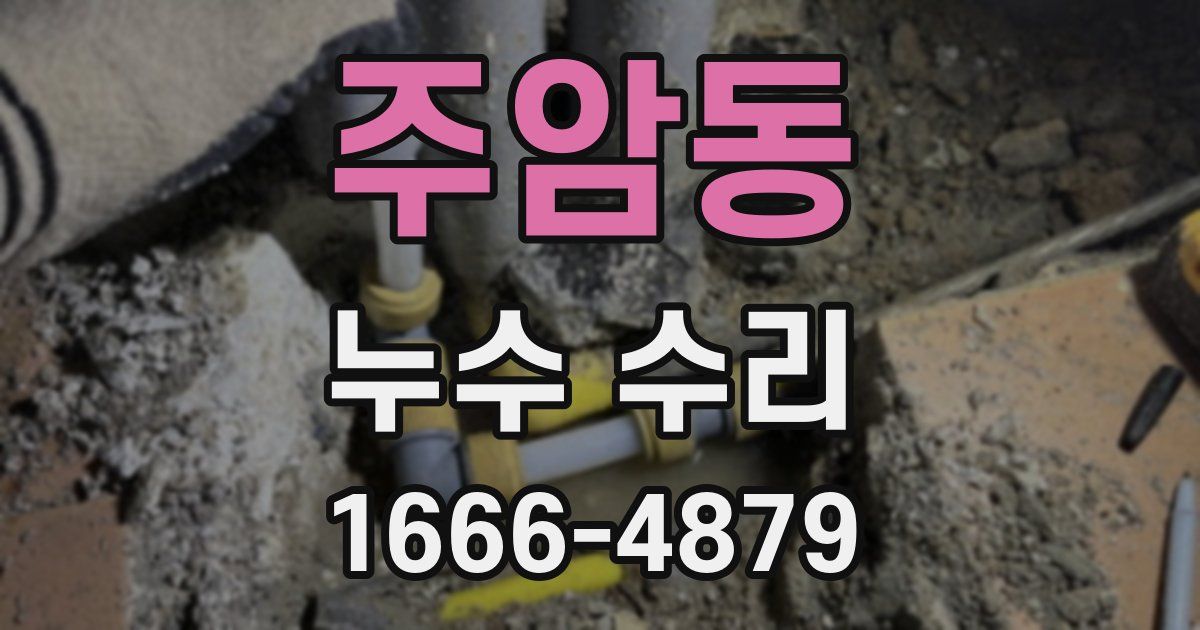 주암동 누수 수리