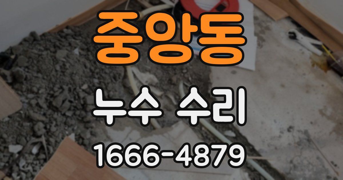 중앙동 누수 수리