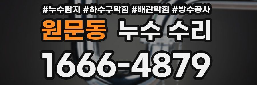 원문동 누수 수리
