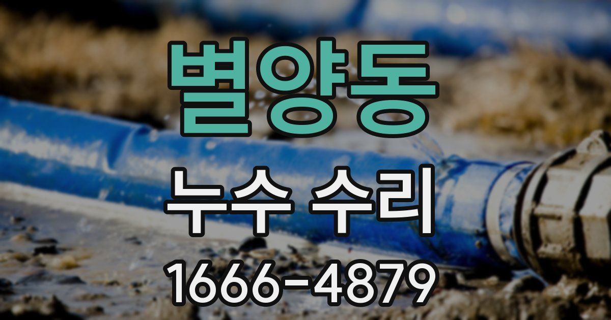 별양동 누수 수리