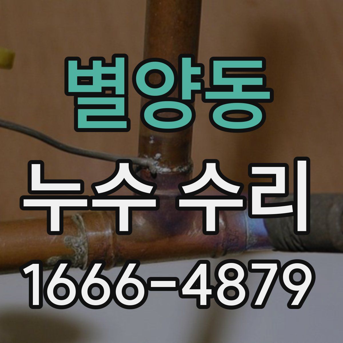 별양동 누수 수리