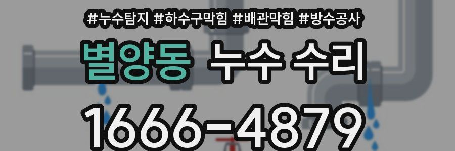 별양동 누수 수리
