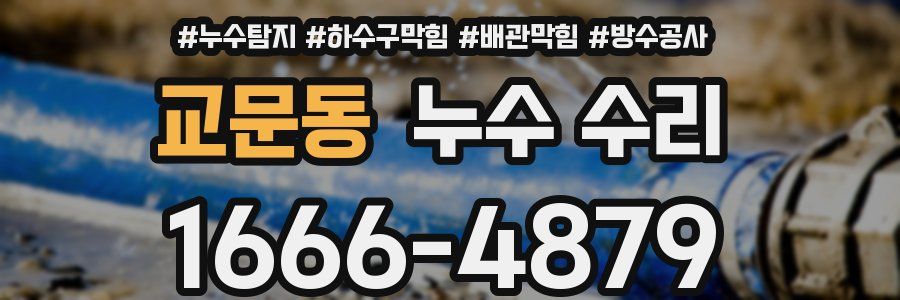 교문동 누수 수리