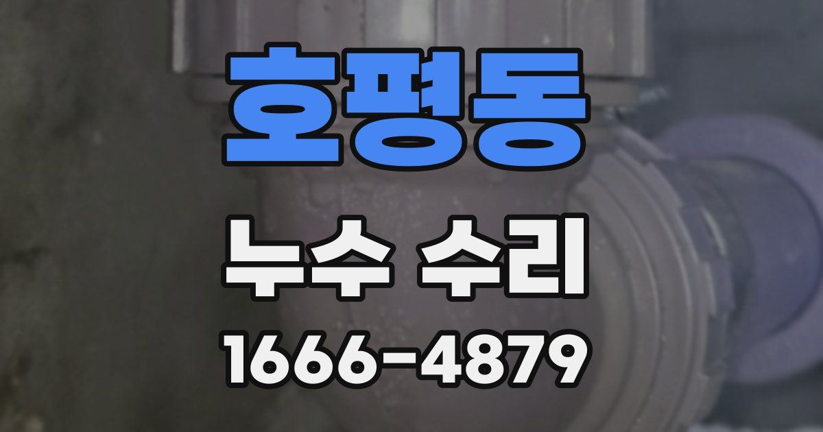 호평동 누수 수리