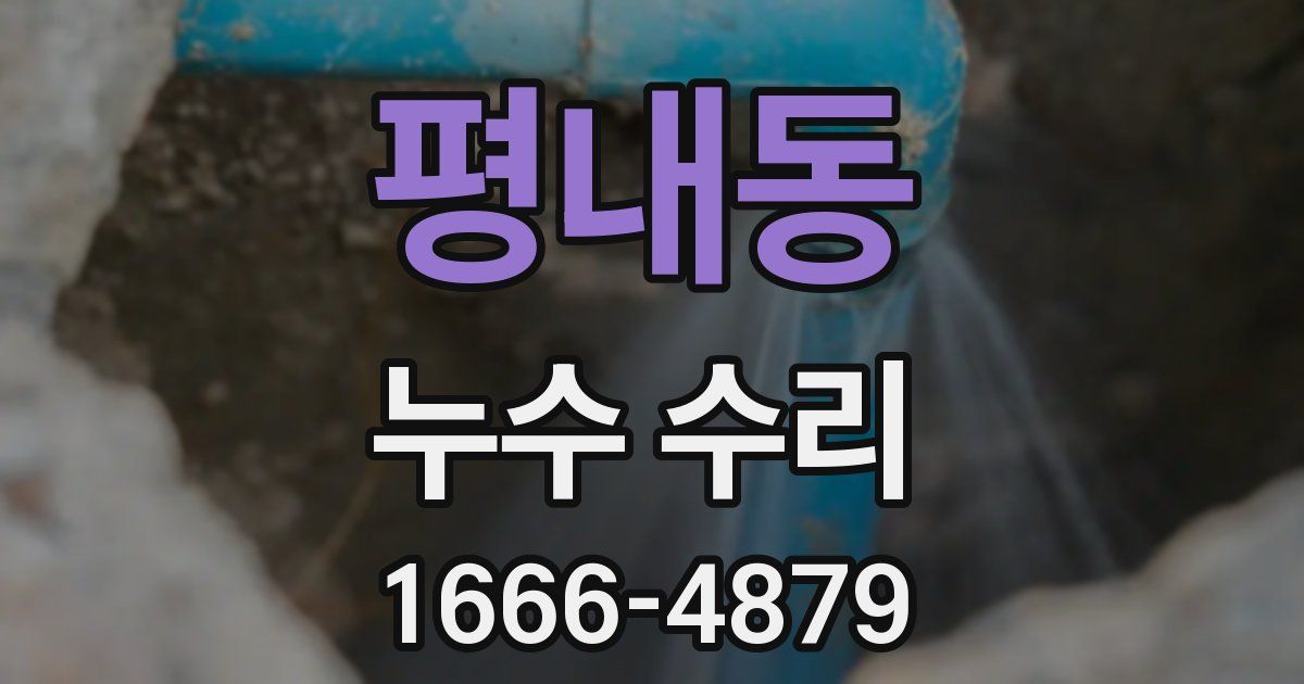 평내동 누수 수리