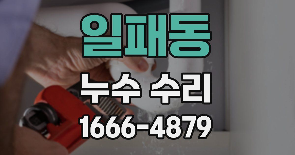일패동 누수 수리
