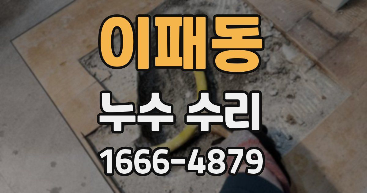 이패동 누수 수리