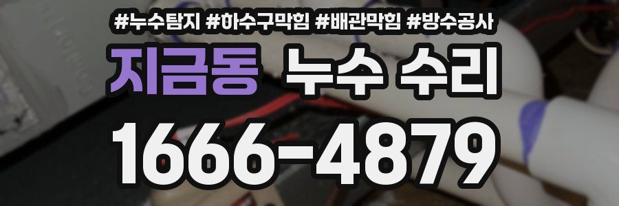 지금동 누수 수리