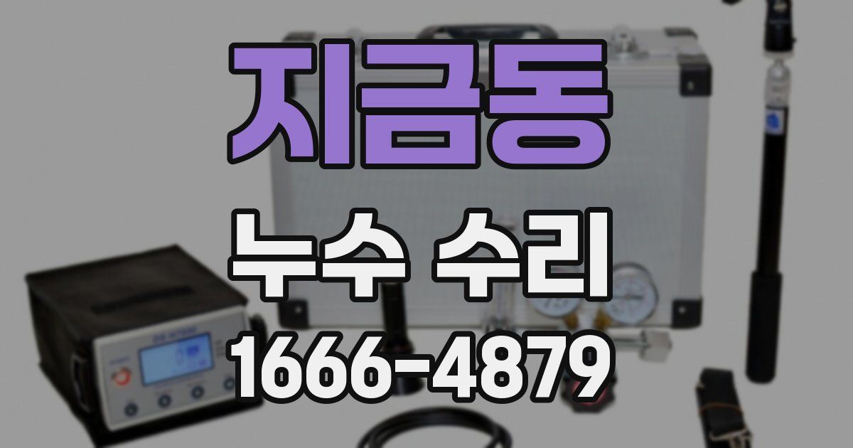 지금동 누수 수리