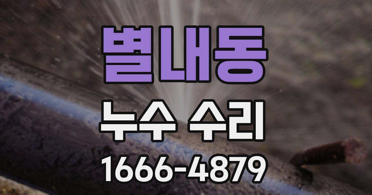 별내동 누수 수리