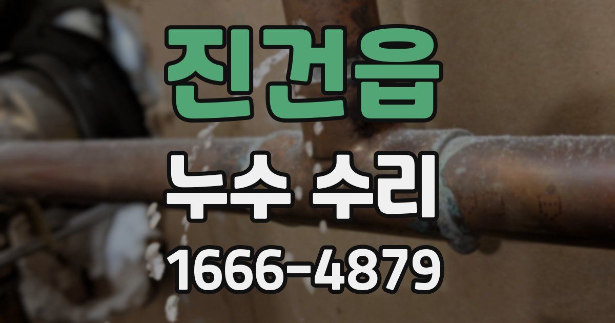 진건읍 누수 수리