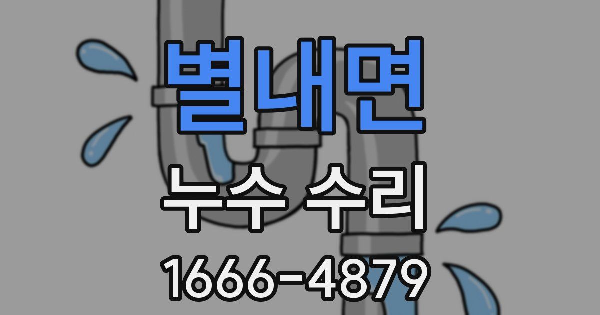 별내면 누수 수리