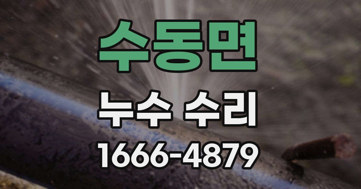 수동면 누수 수리