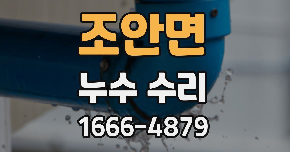 조안면 누수 수리