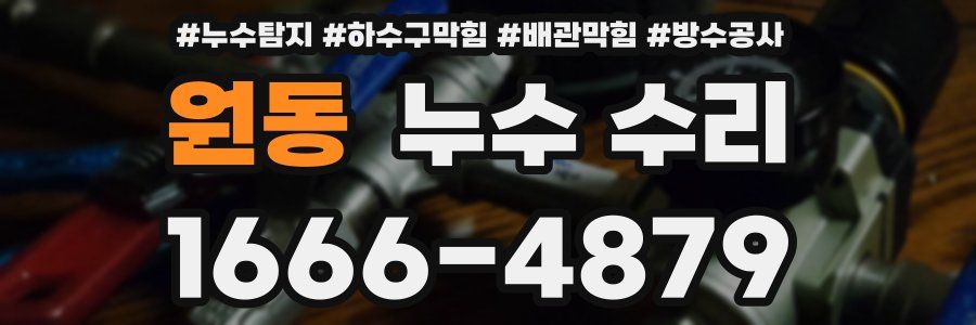 원동 누수 수리