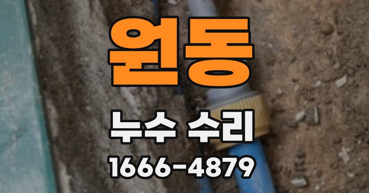 원동 누수 수리