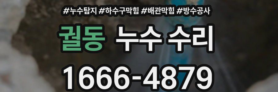 궐동 누수 수리