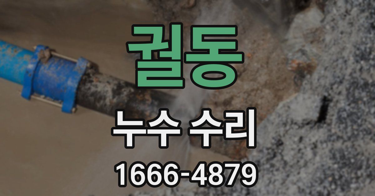 궐동 누수 수리