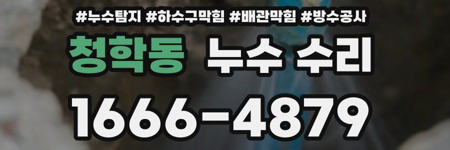 청학동 누수 수리