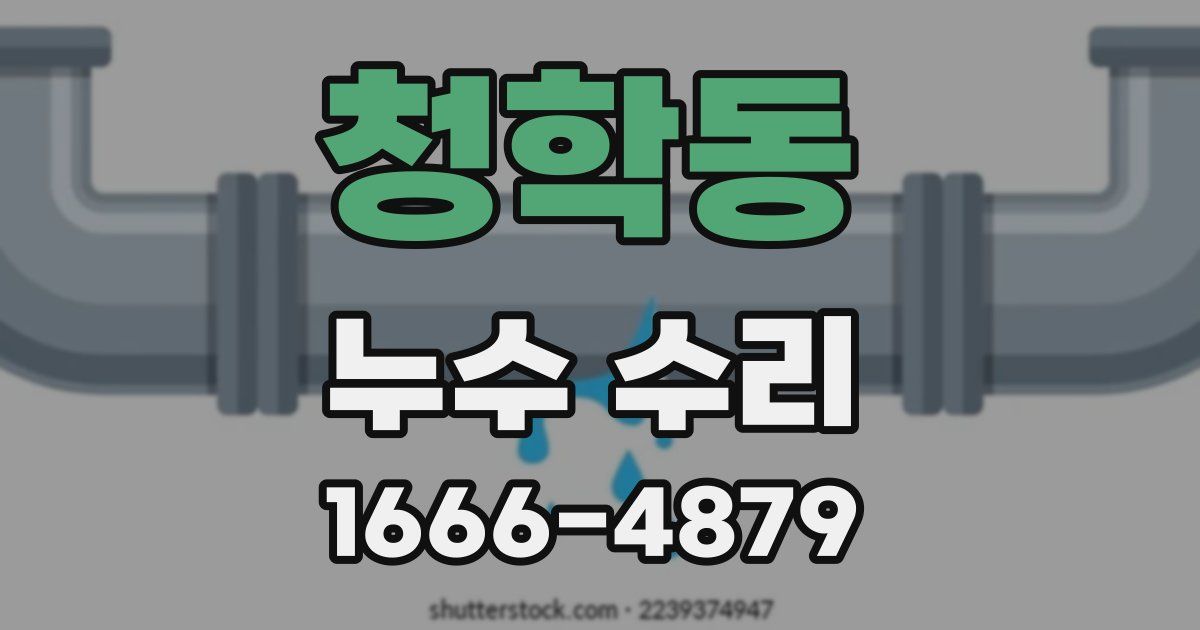 청학동 누수 수리