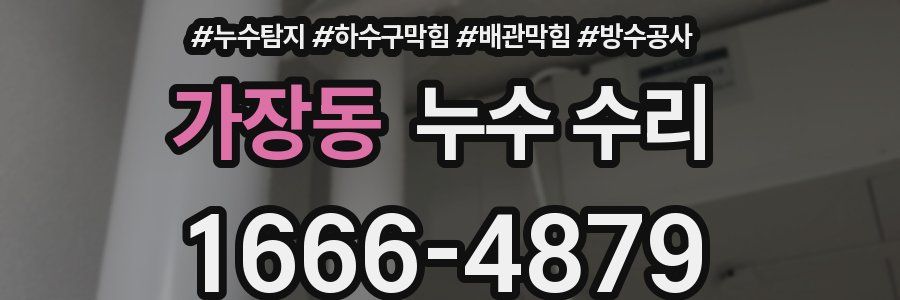 가장동 누수 수리