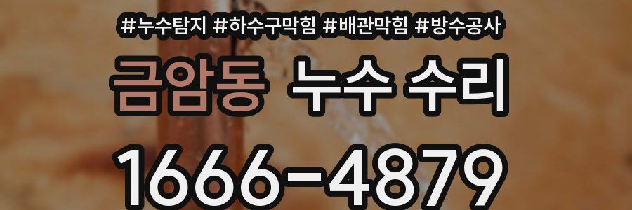 금암동 누수 수리