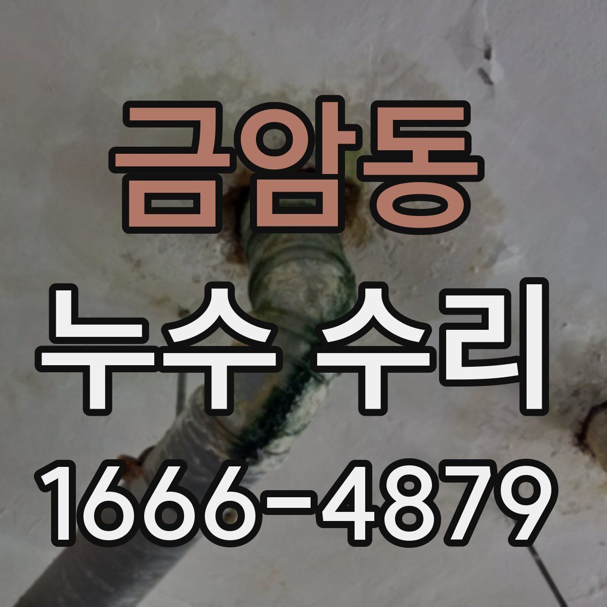 금암동 누수 수리