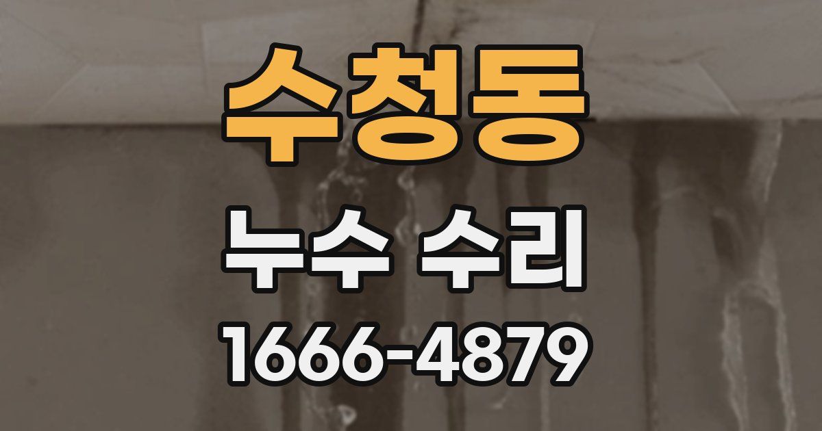 수청동 누수 수리