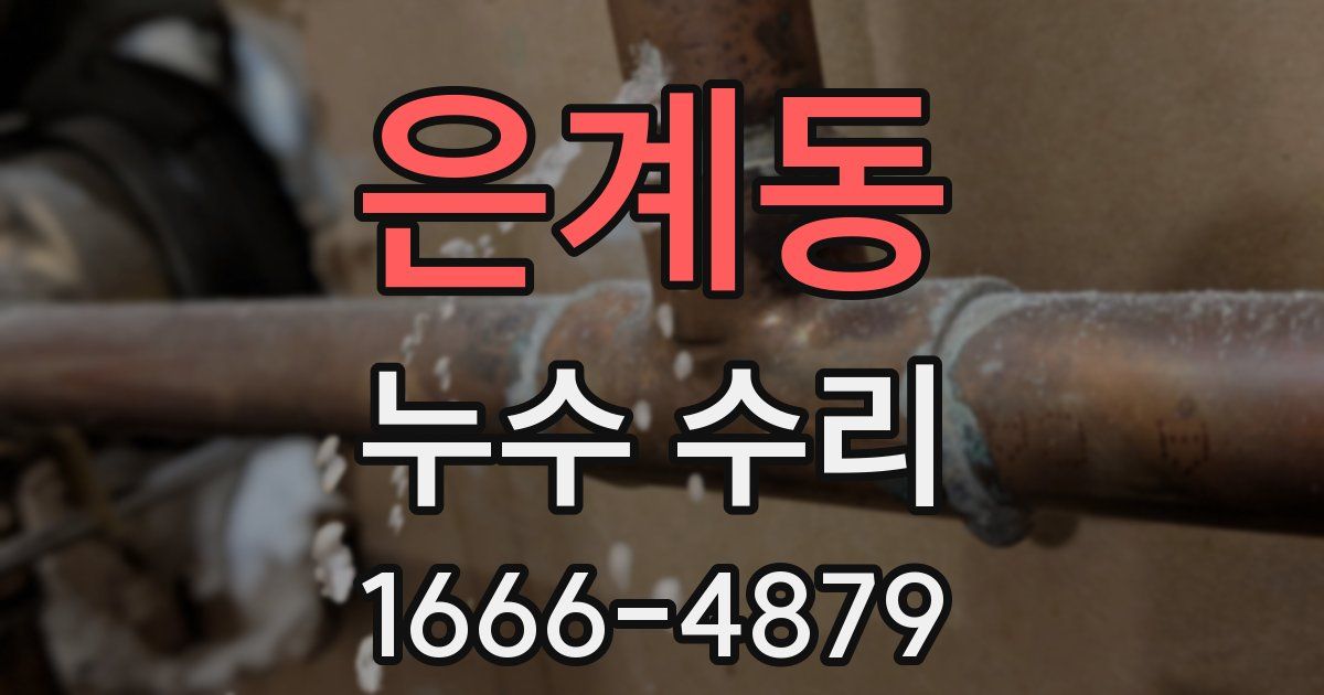 은계동 누수 수리