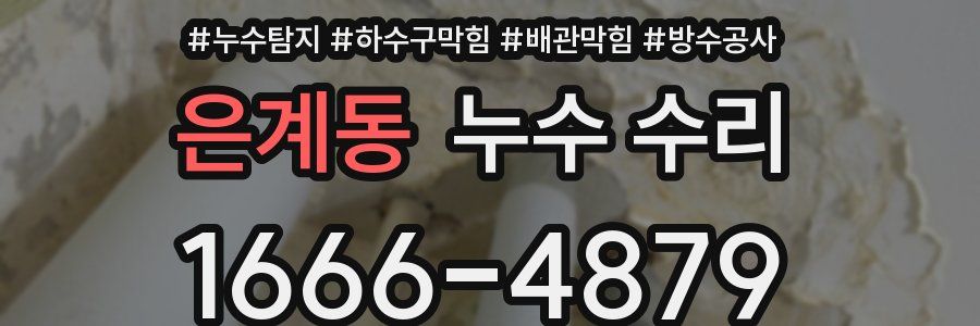 은계동 누수 수리