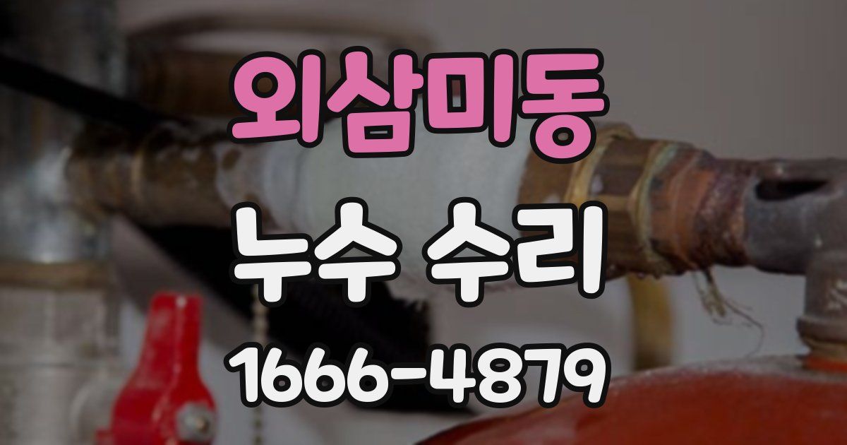 외삼미동 누수 수리