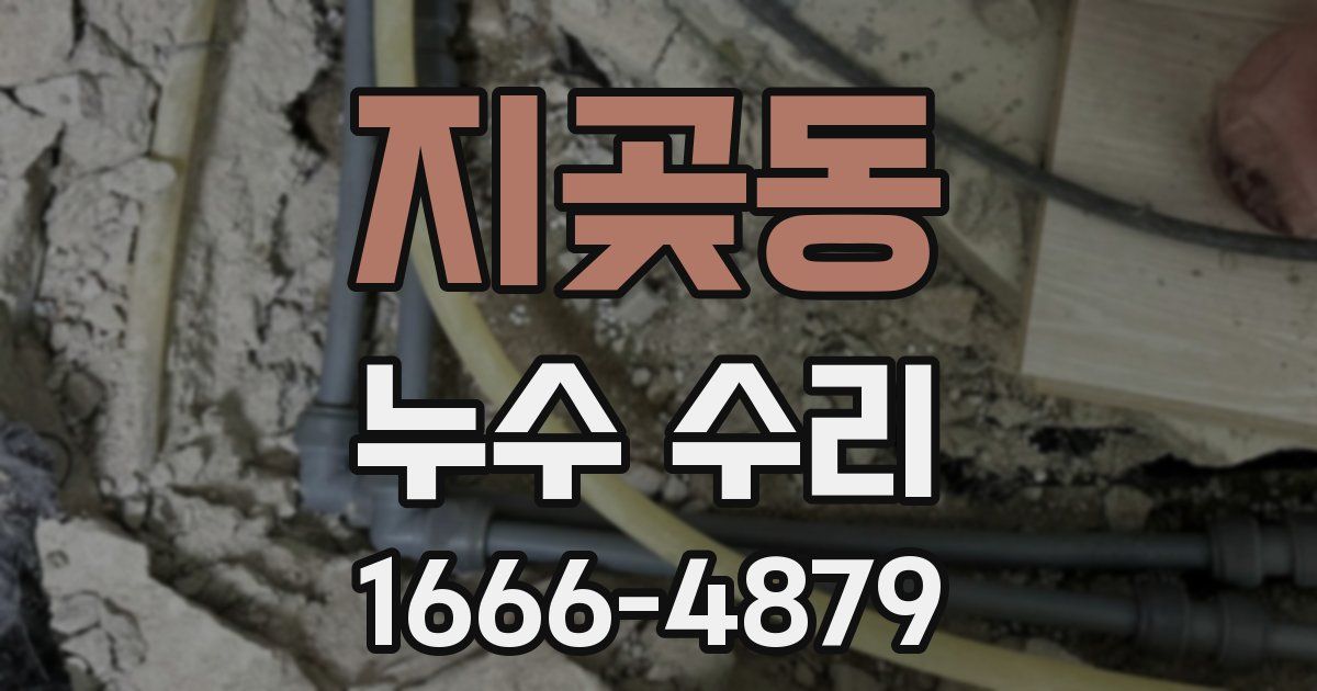 지곶동 누수 수리