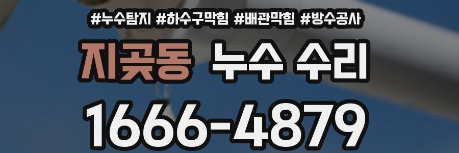 지곶동 누수 수리
