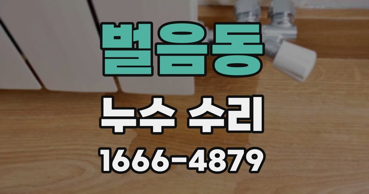 벌음동 누수 수리