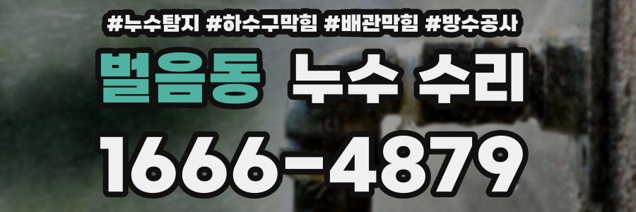 벌음동 누수 수리