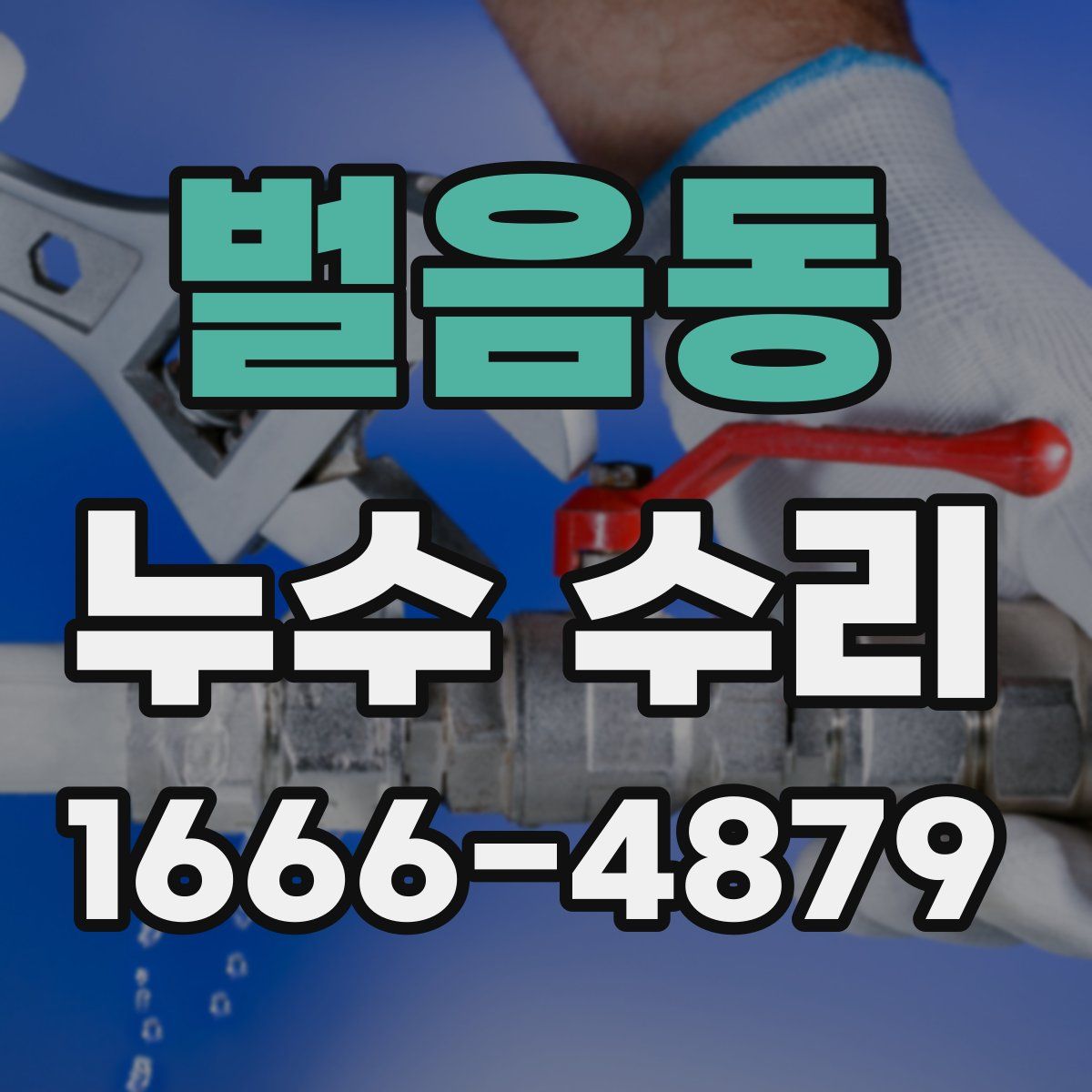 벌음동 누수 수리