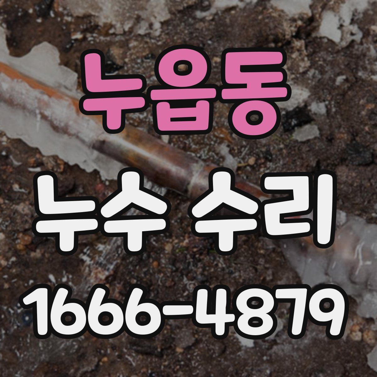 누읍동 누수 수리