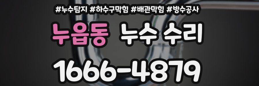 누읍동 누수 수리