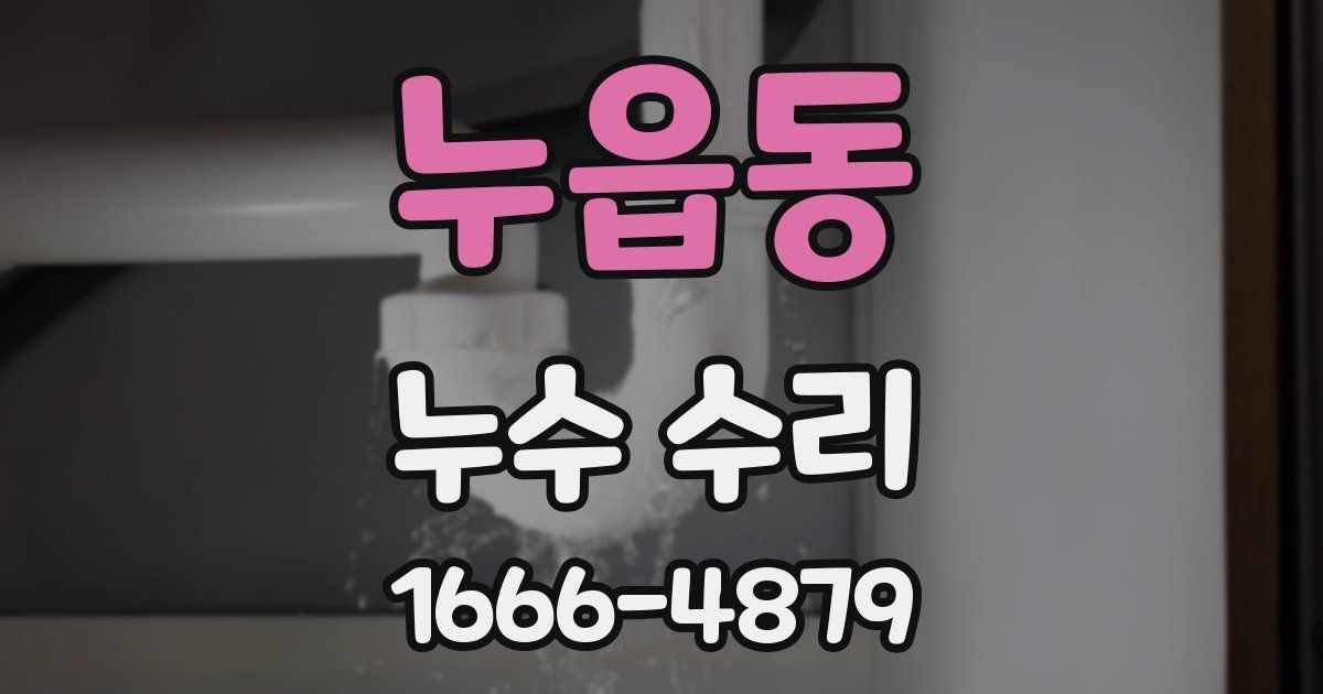 누읍동 누수 수리