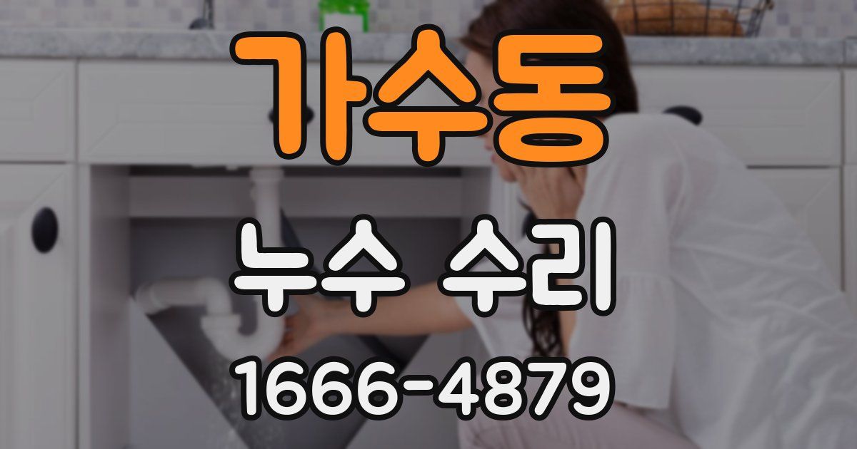 가수동 누수 수리