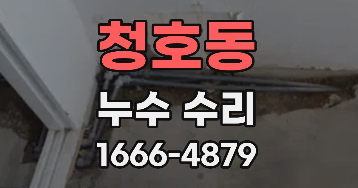 청호동 누수 수리