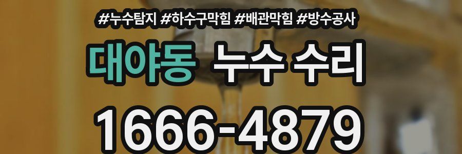 대야동 누수 수리