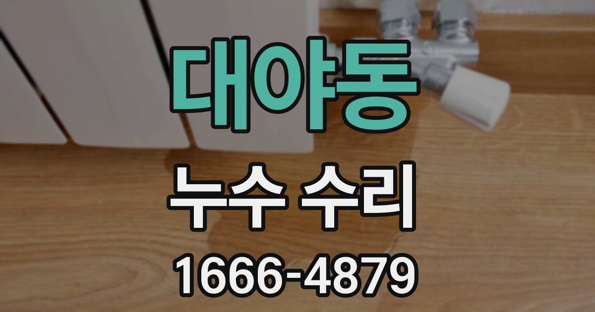 대야동 누수 수리