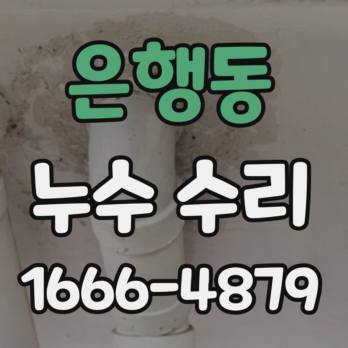 은행동 누수 수리