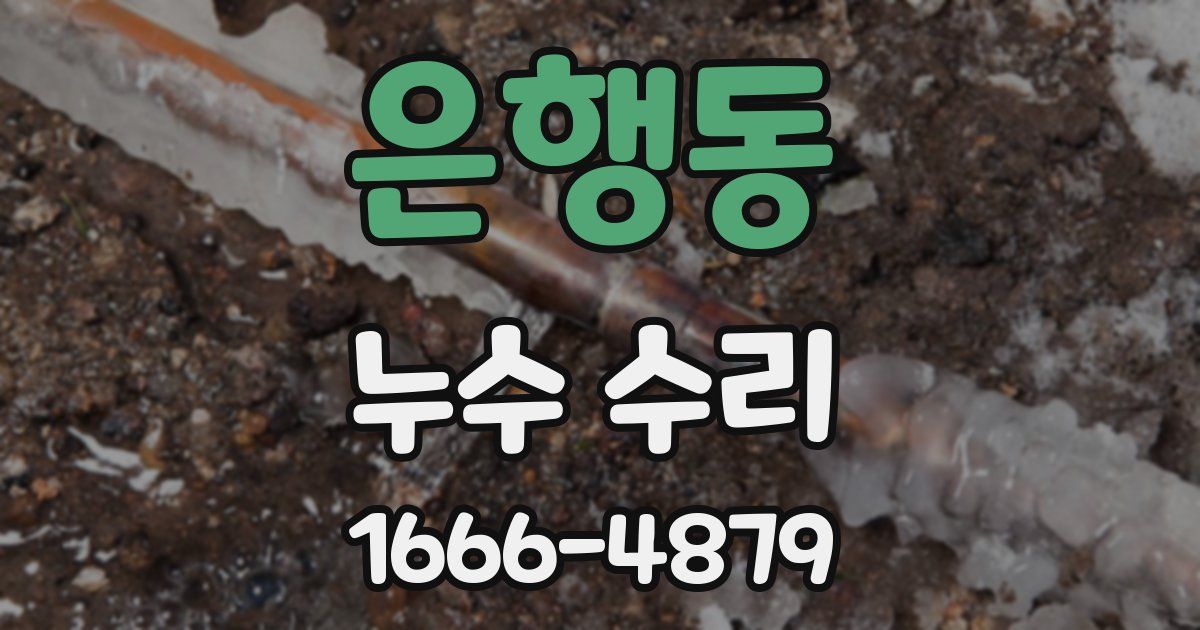 은행동 누수 수리