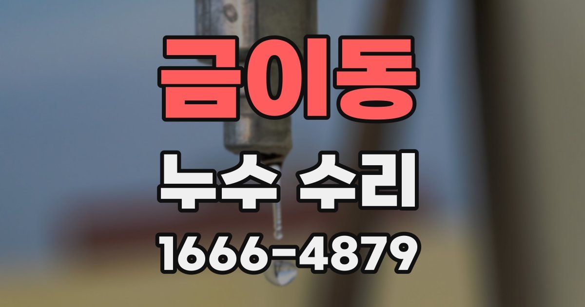 금이동 누수 수리