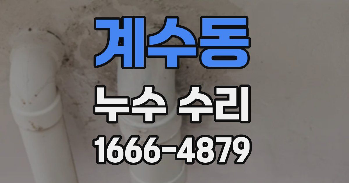 계수동 누수 수리