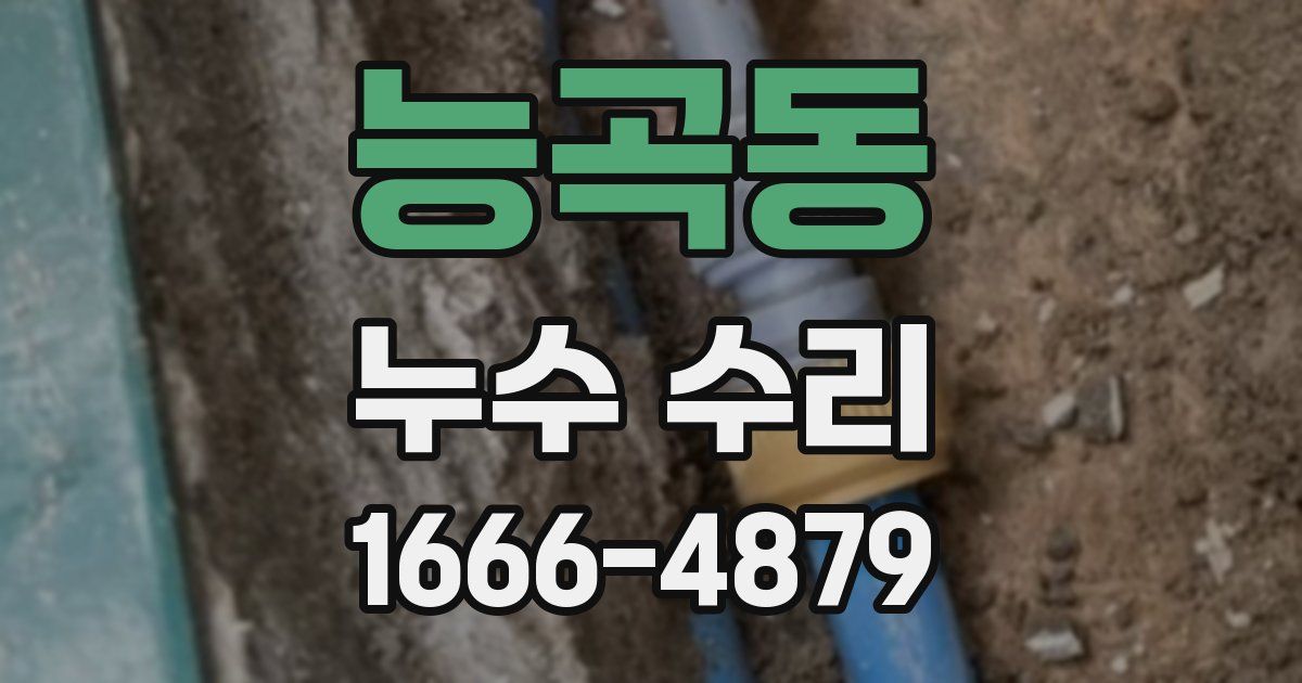 능곡동 누수 수리